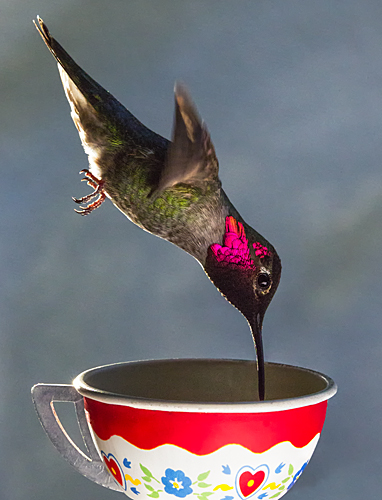 photograph: What's up?